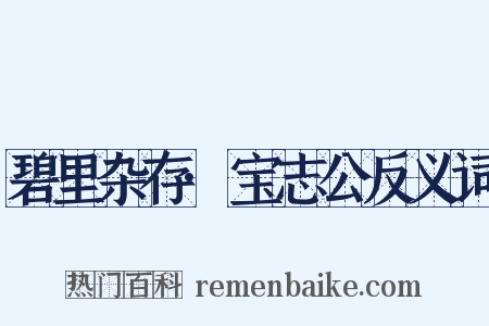 碧里杂存·宝志公反义词是什么意思的图片